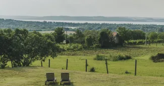 Kőröshegyi Bor Gasztro Piknik a Balatonnál